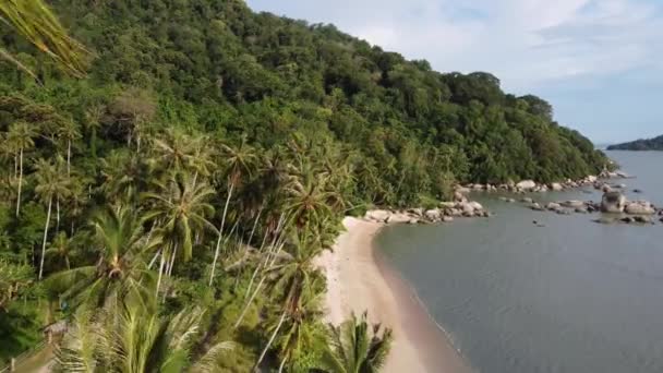 Proletět Zelenou Kokosovou Plantáží Blízkosti Pláže — Stock video