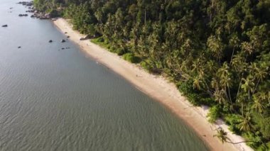 Hindistan cevizi fidanlı uzun plaj manzarası