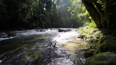 Sungai Sedim 'deki nehir çaprazındaki kayalıklarda güneş ışığından sola dönüyor.