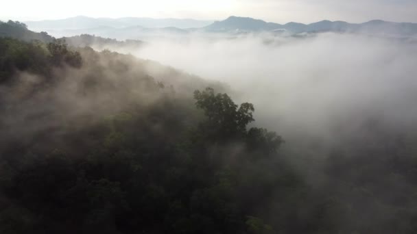 Vista Rotación Aérea Nube Niebla Blanca Mañana Selva Tropical — Vídeos de Stock