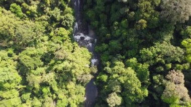 Hava görüntüsü, güneşli bir günde ormandaki su kaynaklarını takip ediyor.