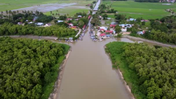 Aerial View Fishing Village Mangrove Forest Paddy Field — Stock Video