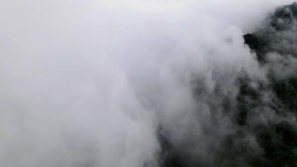Vista Aérea Nuvem Branca Cobrir Floresta Tropical Verde Malásia — Vídeo de Stock