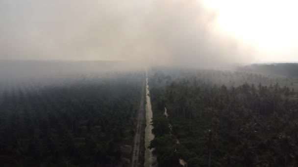 Aerial View Palm Plantation Smoke Haze Due Burning — Vídeo de Stock
