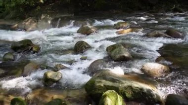 Sungai Sedim yağmur ormanlarındaki kayaların üzerine düşen sol kanat.
