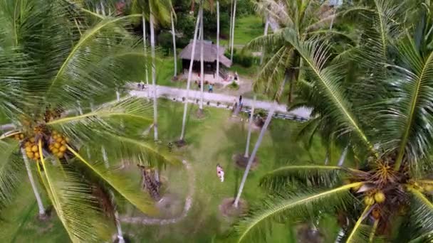 Penaga Penang Malajsie Listopadu 2021 Letecký Pohled Kokosové Ovoce Lidé — Stock video