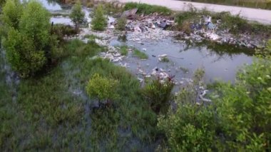 Mangrov ağacının üzerinden çöp nehrine doğru uçan taşıyıcı.