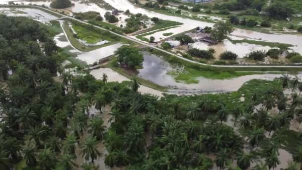 Drone Shot Flood Happen Countryside Malaysia — 图库视频影像