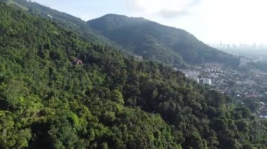 Aerial move over the green forest near town in sunny day