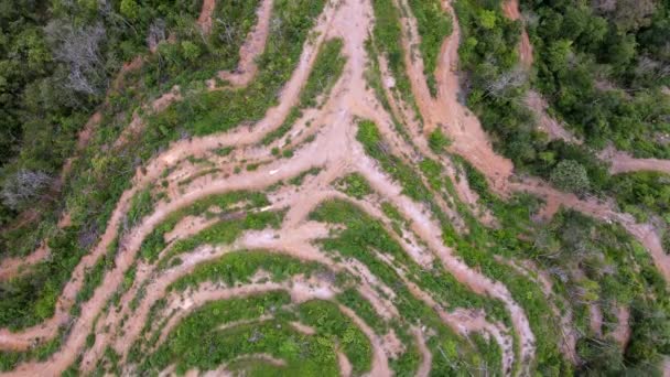 Aerial View Look Land Clearing Hill Slope — Stock videók