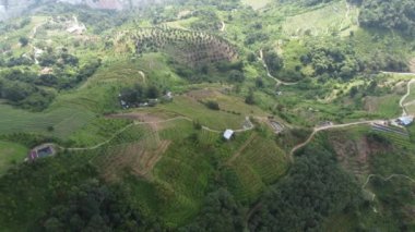 Sisli bir günde gökyüzü manzaralı dağlık tarlalar.