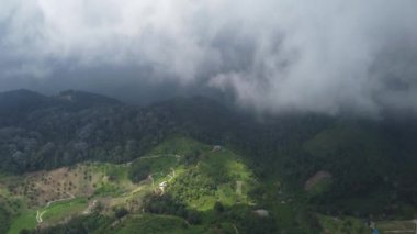 Yükseklerdeki plantasyonda havadan hızlı hareket eden alçak bulut
