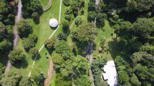 Aerial View Look Penang Botanical Garden Morning — Video