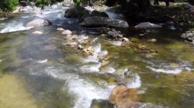 Slowly move over water stream flow through rock in sunny day