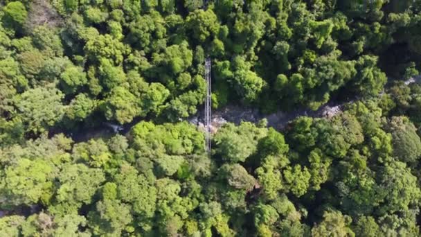 Εναέρια Ματιά Κάτω Δέντρο Κορυφή Περπατήσει Αυξημένα Γέφυρα Χάλυβα Πάνω — Αρχείο Βίντεο