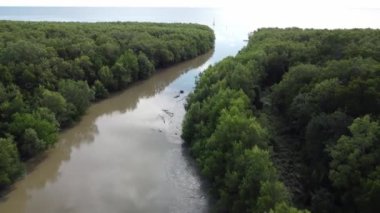 Aerial view river to sea in afternoon