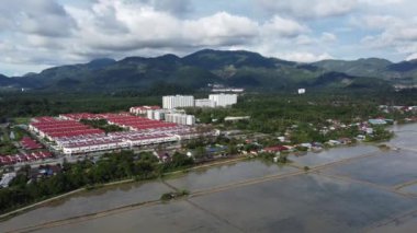 Banliyö yerleşim alanının yakınındaki çeltik tarlasından uçarak uzaklaşın.