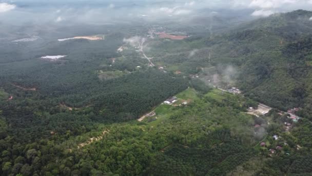 Mirada Aérea Hacia Abajo Pequeño Kampung Cerca Plantación Kedah Mañana — Vídeos de Stock