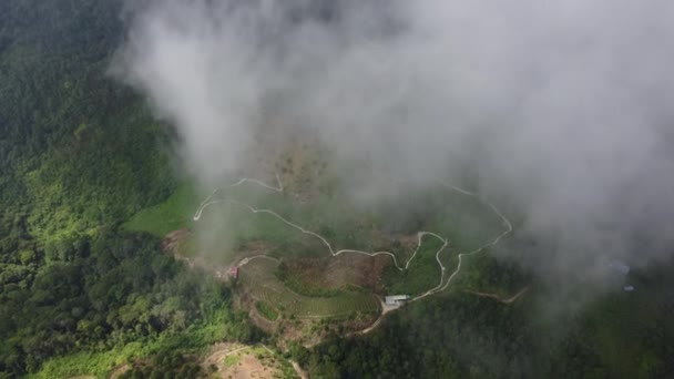 Drone Shot Low Cloud Mist Highland Plantation — ストック動画