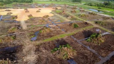 Aerial view sunshine over oil palm tree is cleared for develop