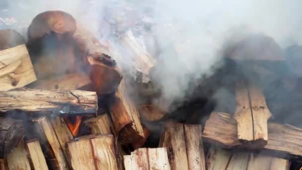 Select Focus Burning Wood Fire Walking Hindu Temple Ceremony — Αρχείο Βίντεο