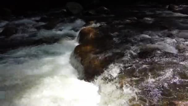 Niski Kąt Widzenia Strumień Leśny Przepływu Nad Skałą — Wideo stockowe