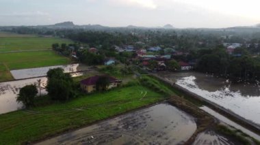 Bukit Mertajam, Penang, Malezya - 10 Ekim 2021: Hava manzaralı Malays kampung evi çeltik tarlasının yanında. Akbalıkçıl kuşları uçuşuyor.