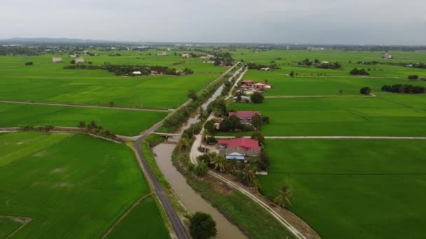 Penaga Penang Malaysia Nov 2021 Aerial View Malays House Rural — ストック動画