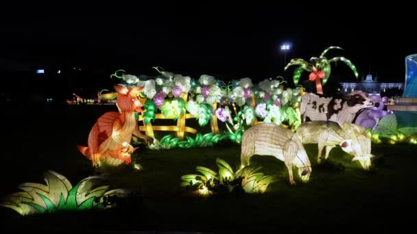 Georgetown Penang Malajsie Prosinec 2021 Směrem Austrálii Kulturní Osvětlení Socha — Stock video