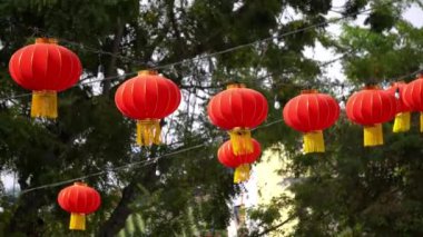 Red chinese lantern hang in a row near green tree