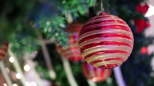Select Focus Red Christmas Ball Hang Tree — Vídeo de stock