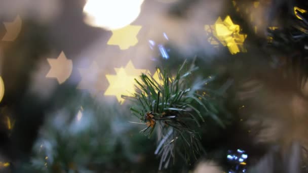 Select Focus Green Christmas Tree Star Bokeh Led Background — Vídeo de stock