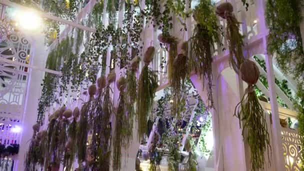 Tilt View Decoration Floral Plant Hanging Beauty Light Environment — Stock video