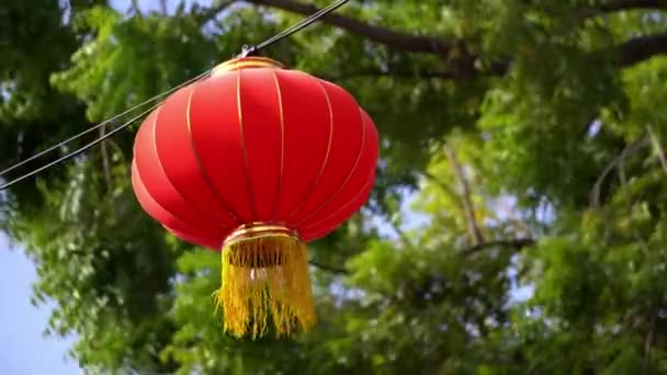 Red Chinese Lantern Hanging Waving Tree Leaves — стоковое видео