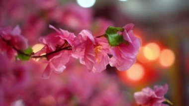 Close up show of fake flower plum blossom decoration in red background