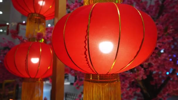 Tracking View Illuminated Red Chinese Lantern Decoration Background Plum Blossom — стоковое видео