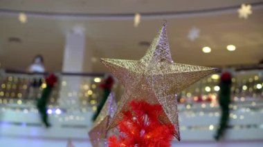 Select focus star ornament decoration