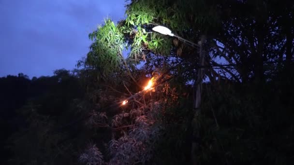 Fire Burning Electric Cable Outdoor Blue Hour — Wideo stockowe