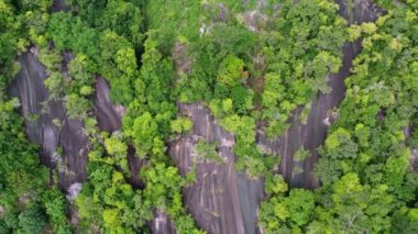 Aerial view the trees live at the hill cliff