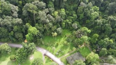 Aerial view green tree scenery at botanical garden Penang, Malaysia