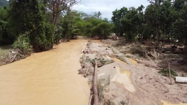 Move Flash Flood River Hit Tree Debris Cause Fall — Vídeo de Stock