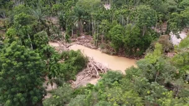 Aerial Rotating View Tree Bark Debris Flow Away Flash Flood — Video