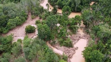 Aerial view tree bark gather at river bank after flush by flash flood