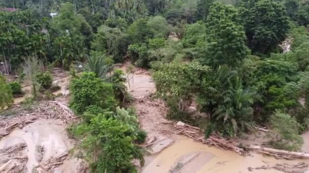Serious Flash Flood Debris Mud Destroy Rural Area River — 비디오