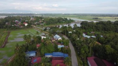 Kampung Terus, Penang, Malaysia - Oct 27 2021: Aerial move over Kampung Terus village near paddy field