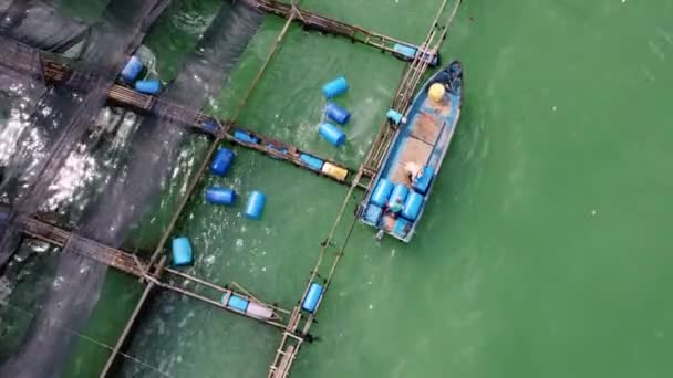 Georgetown Penang Malaysia Dec 2021 Aerial View Fisherman Transfer Blue — Stockvideo