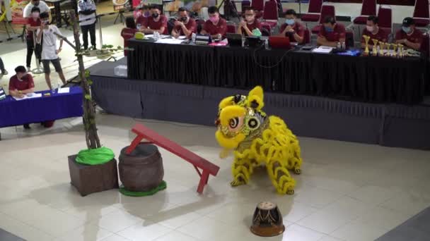 Джорджтаун Пенанг Малайзия Января 2022 Желтый Танец Льва Исполняется Цветочном — стоковое видео