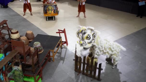 Джорджтаун Пенанг Малайзия Января 2022 Танец Белого Льва Время Турнира — стоковое видео