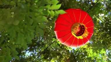 Red Chinese lantern hanging in green leaves background
