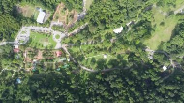 Aerial view look down botanical garden Penang, Malaysia